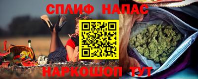 индика Гусиноозёрск